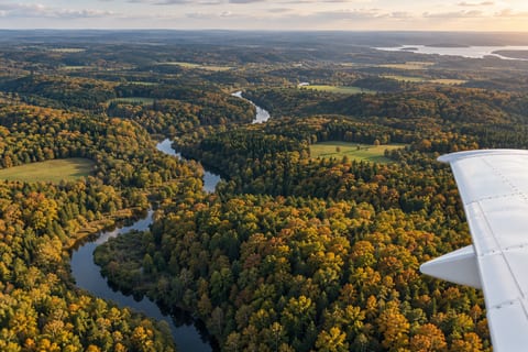 Udsigt fra et fly over en efterårsskov med en snoet flod og lysninger.